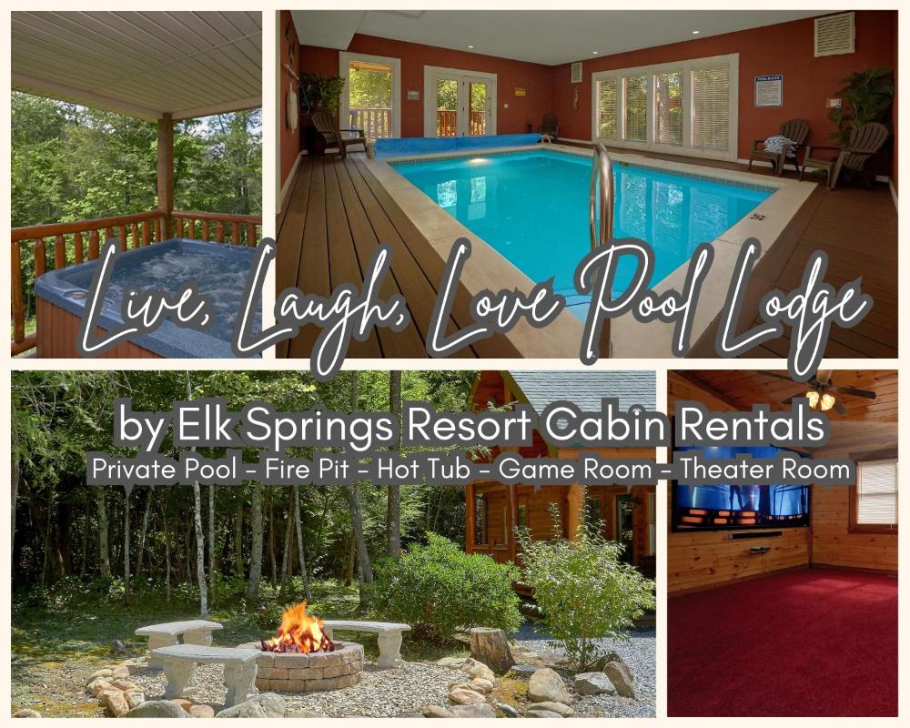 Family indoor pool cabin theater room